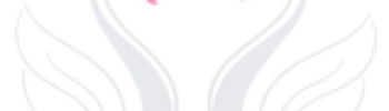 En Sante Med Logo